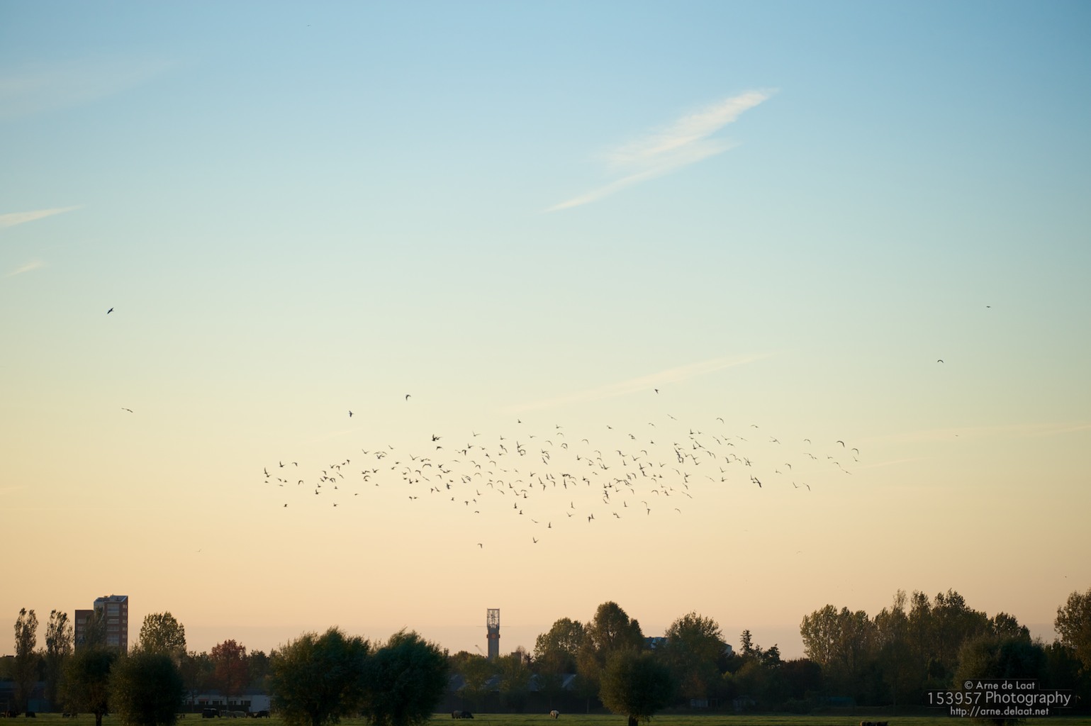 ADL_046909    101017 082906