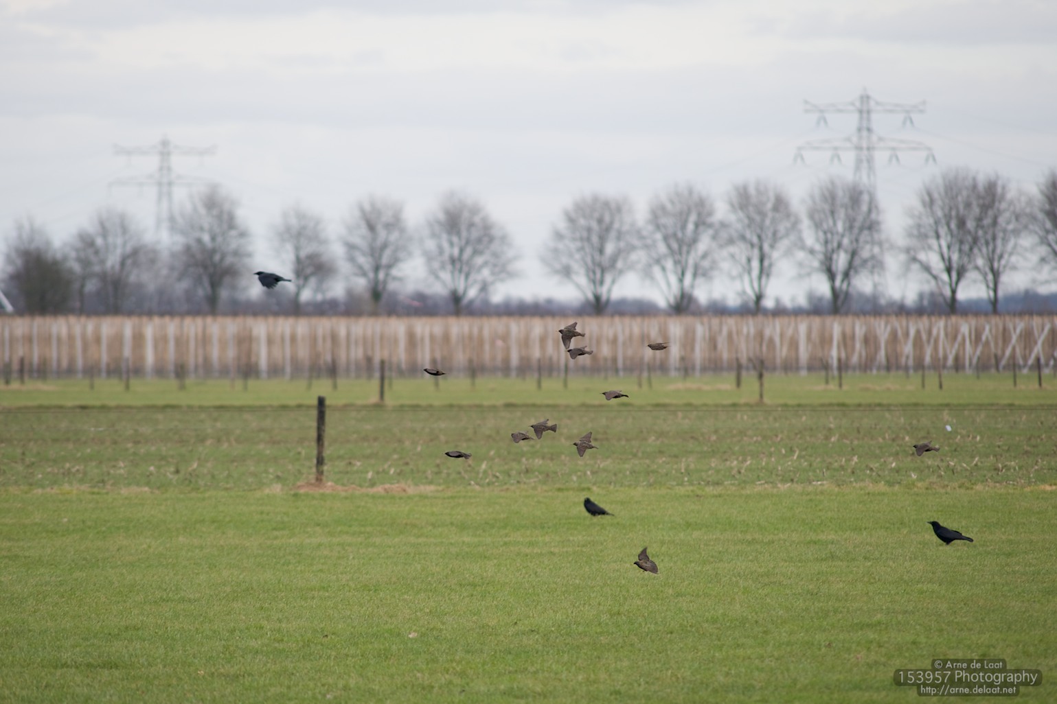 ADL_016735    100303 160104