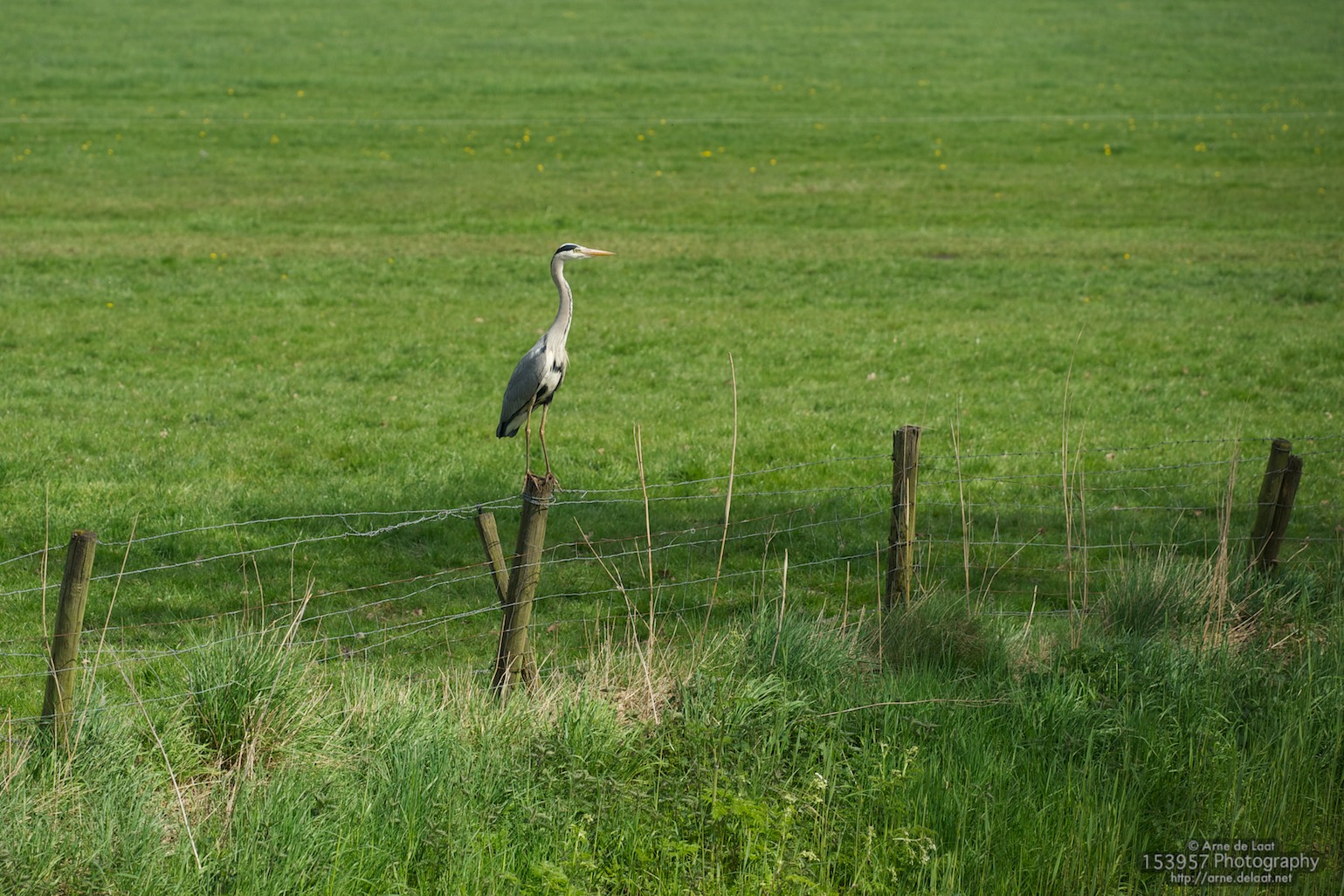 ADL_022499    100427 152413