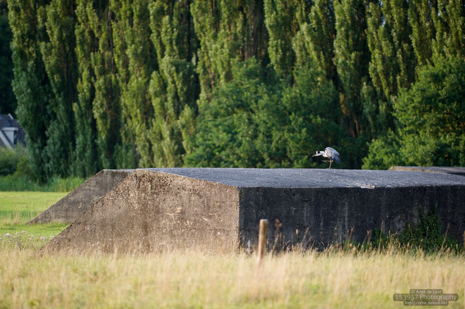 ADL_035952    100722 201743