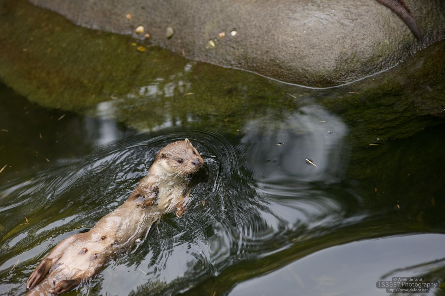 ADL_043758    100923 162507