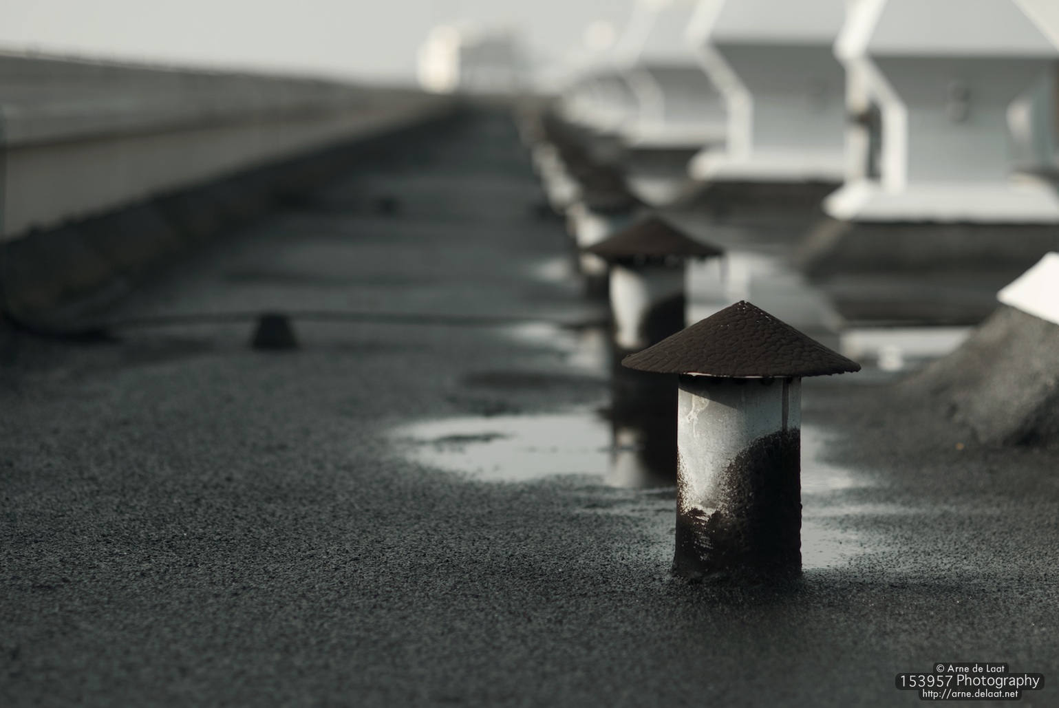 DSC_47956    081106 131819