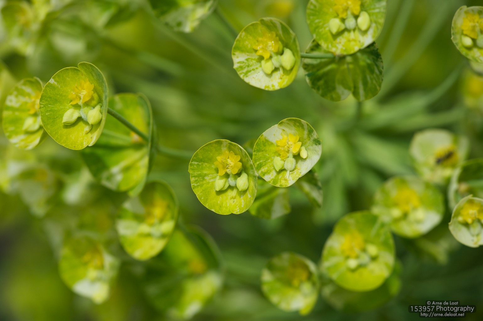 ADL_022746    100429 124732