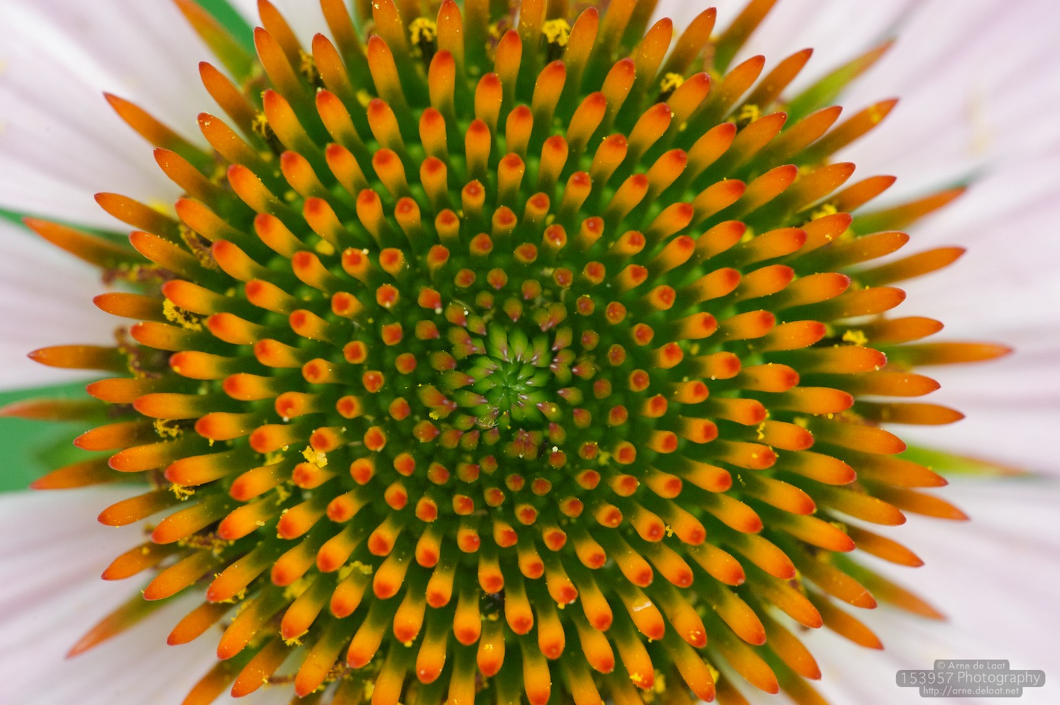 ADL_037674    100727 141428