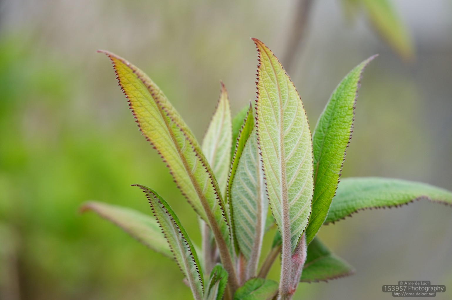 ADL_021602    100422 131316