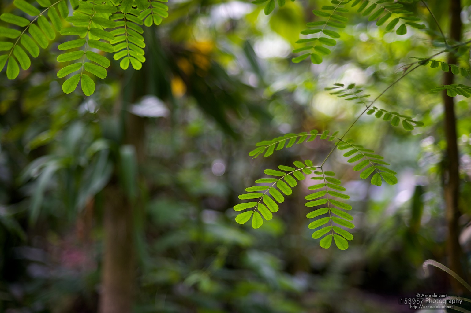 ADL_037917    100728 162145