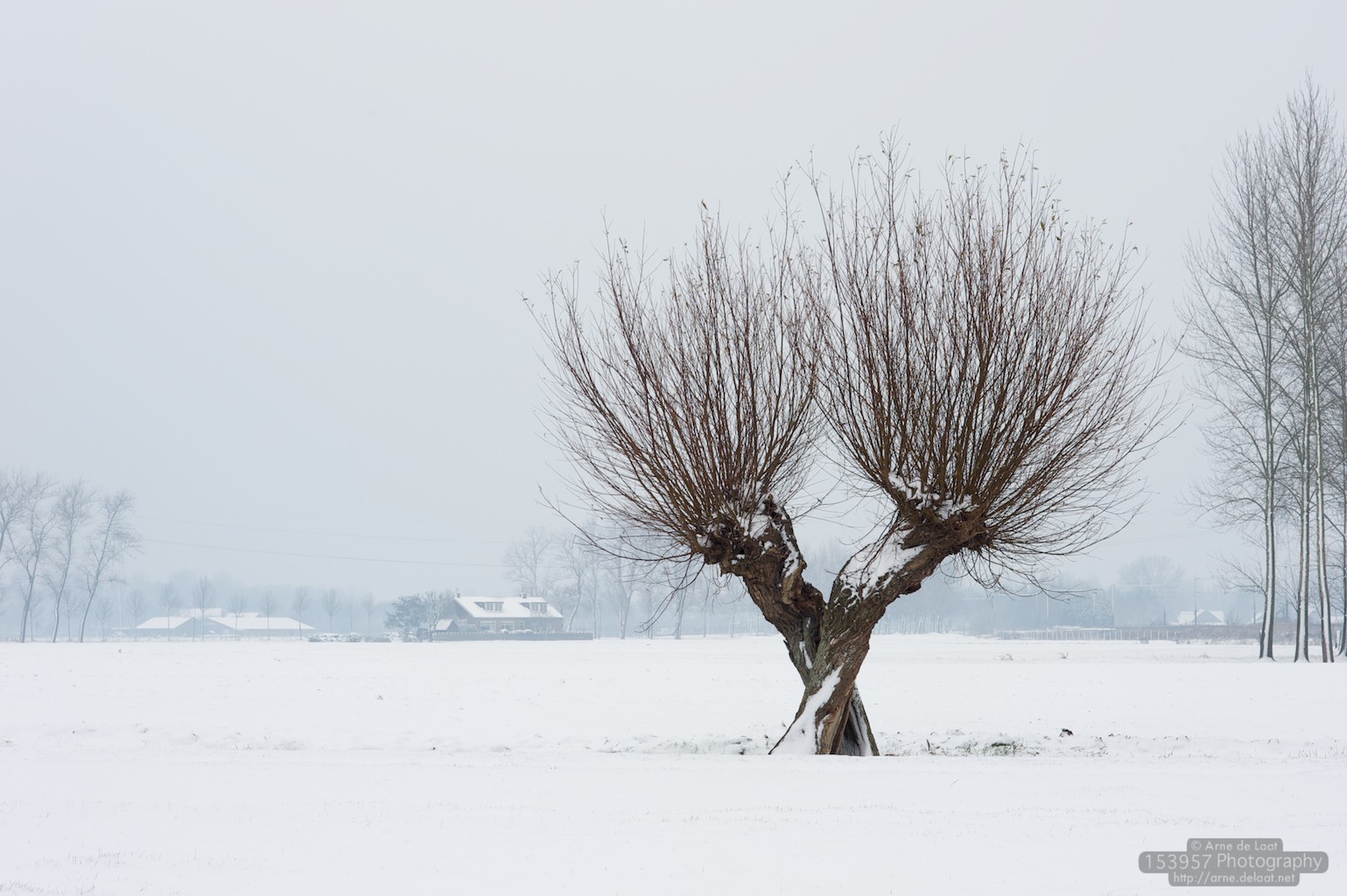 ADL_008252    091217 120133