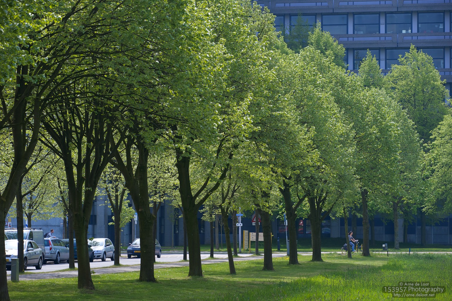 ADL_022717    100429 124048