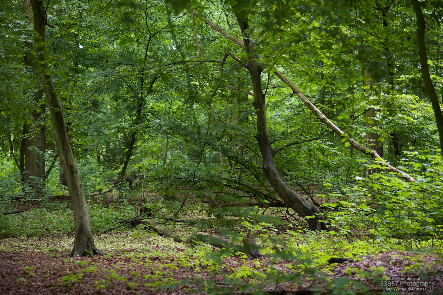 ADL_028891    100531 150210