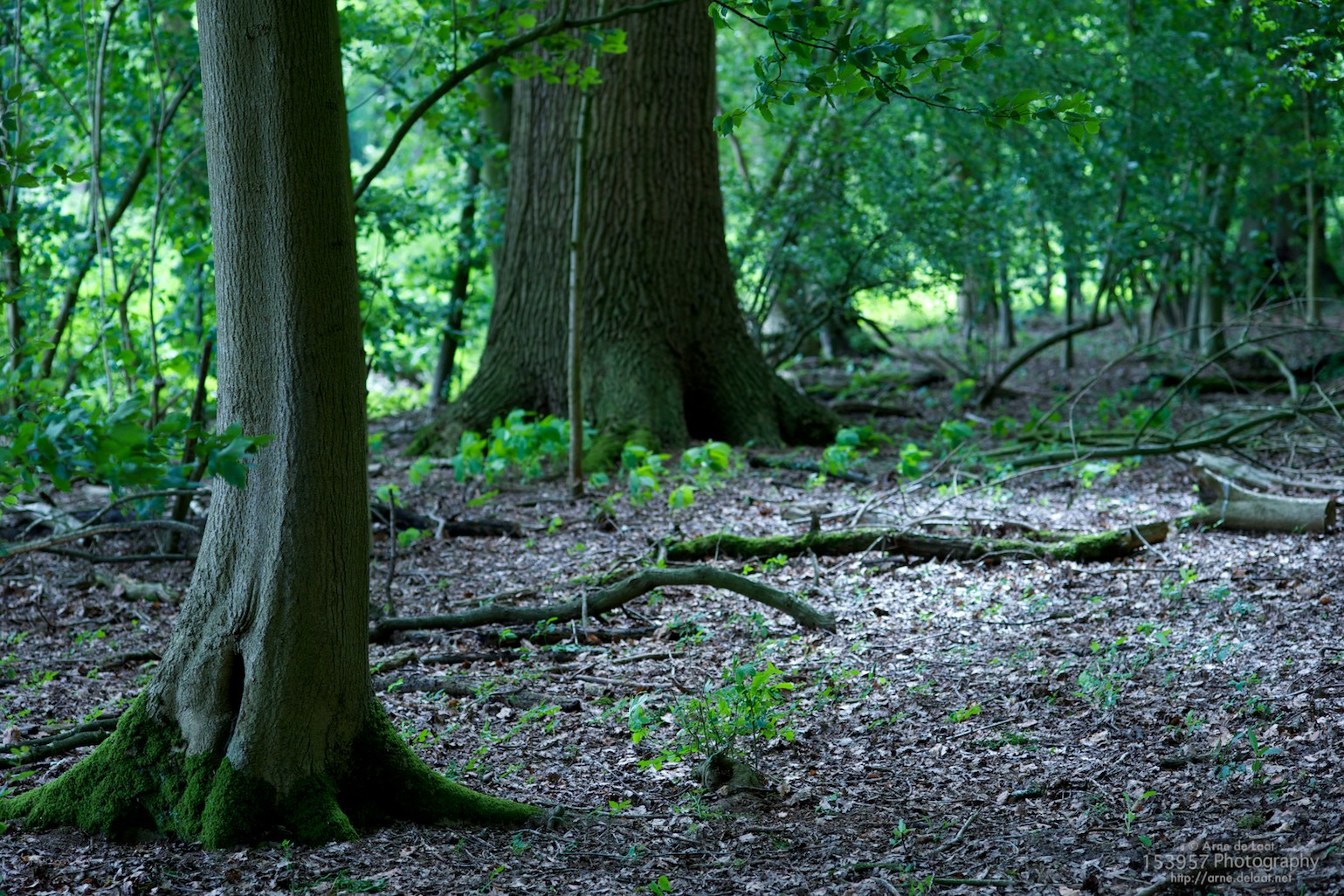 ADL_031375    100615 111743