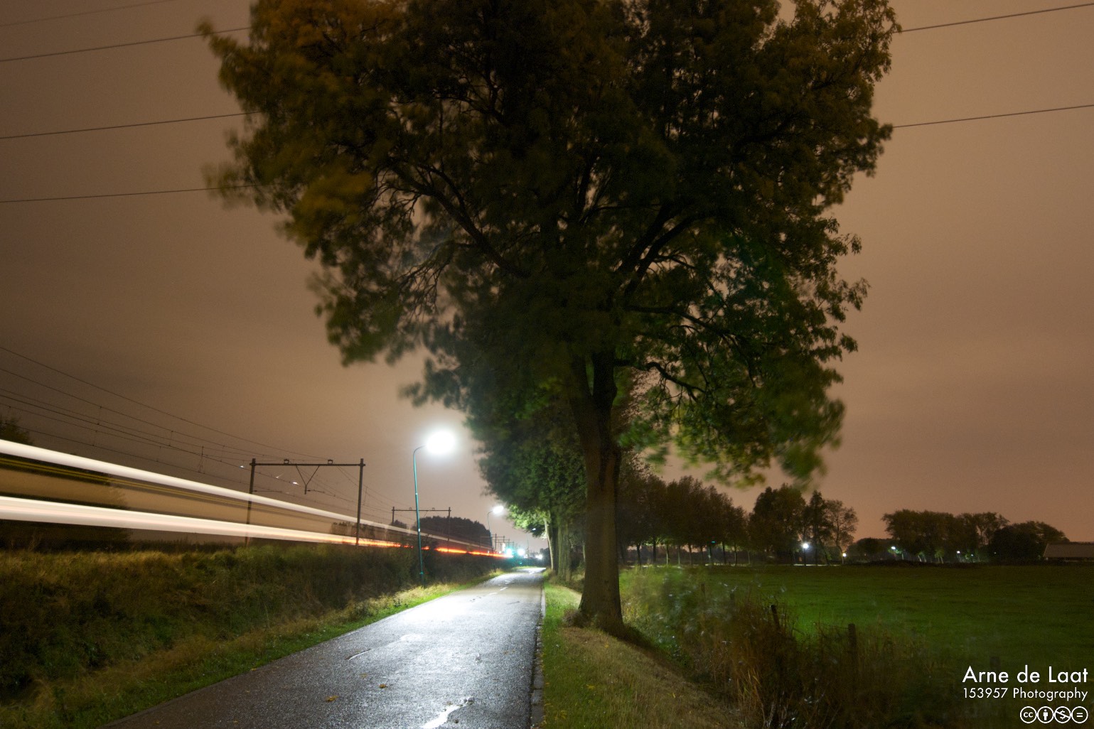 DSC_105367    091010 020208