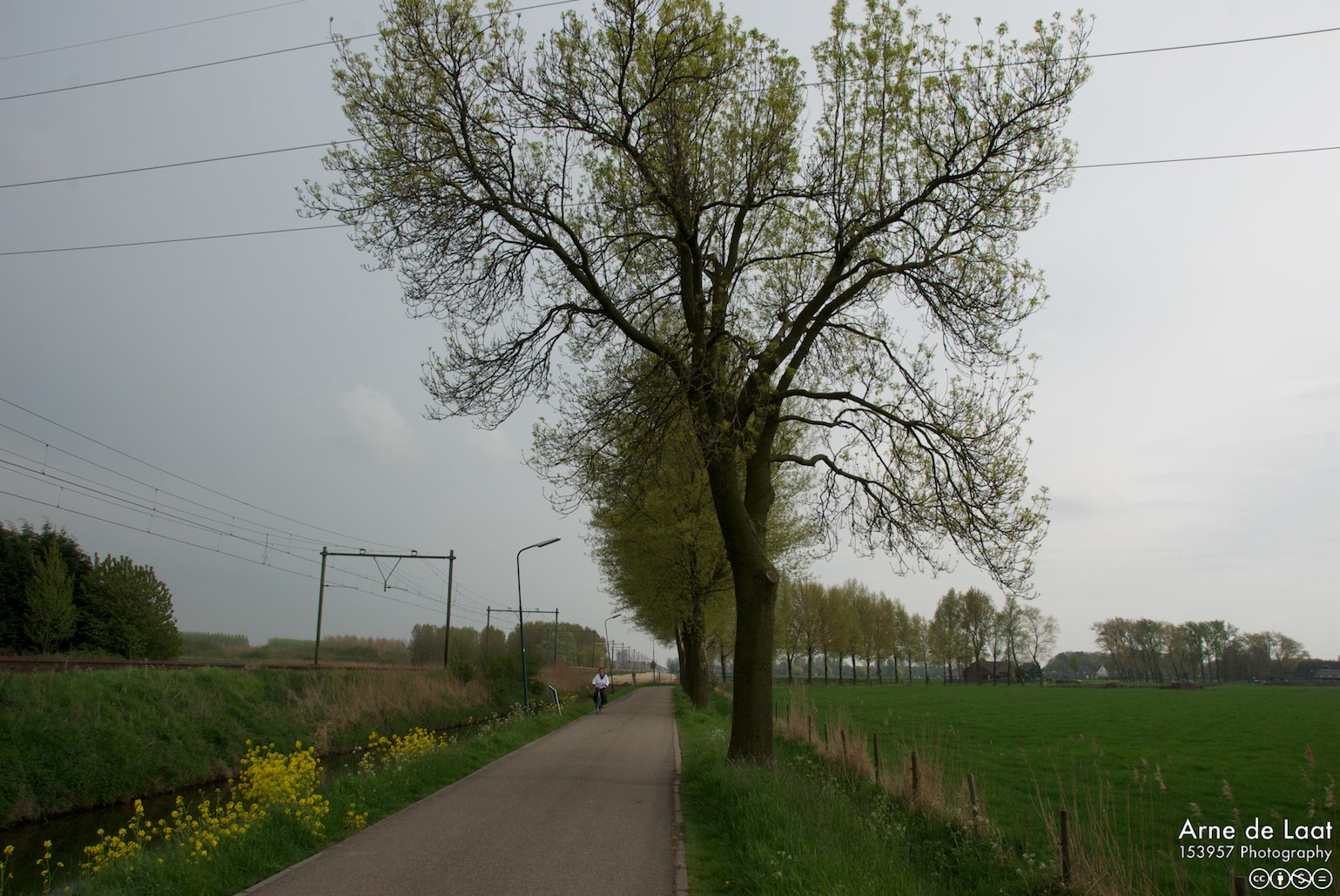 DSC_34240    080428 170126