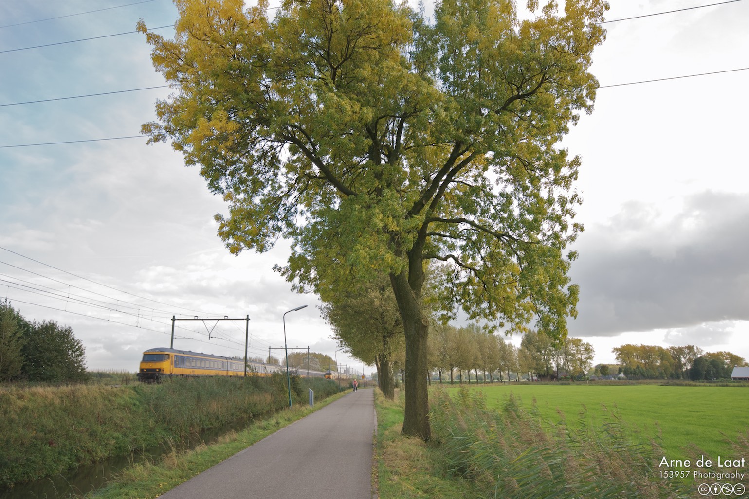 DSC_46804    081008 163704