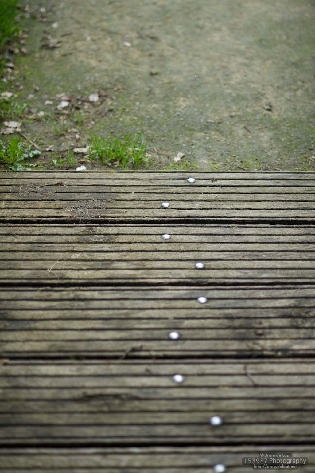 ADL_039254    100809 130003